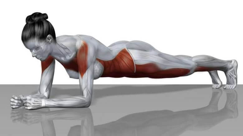 Plank