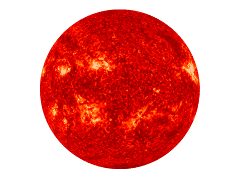 sole