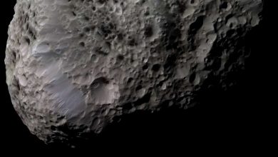 cosa sono gli asteroidi