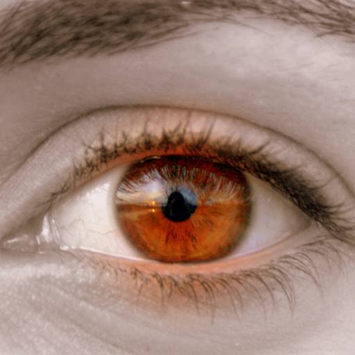 occhi color ambra