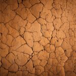 Terreno argilloso lavorato, pronto per la coltivazione di piante e ortaggi.